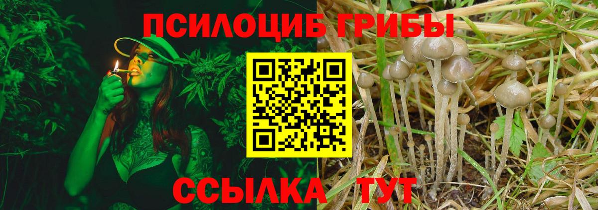 Псилоцибиновые грибы Cubensis Кузнецк